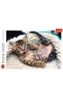 Puzzle 1000 el. Weso�y kotek Trefl