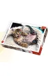 Puzzle 1000 el. Weso�y kotek Trefl
