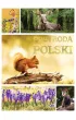 Przyroda Polski