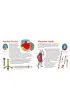 Klub ma�ego patrioty. Polscy dow�dcy