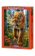 Puzzle 1500 el. Mountain Lion In The Forest Castorland
