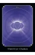 The Psychic Tarot Pocket Oracle, karty do wr�enia