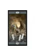 Smoczy Tarot, Tarot Draconis
