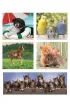 Puzzle 10w1 SuperColor. Animal Friends Clementoni