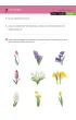 Jestem i dzia�am Wiosna Materia�y dla uczni�w z niepe�nosprawno�ci� intelektualn�