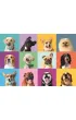 Puzzle 300 el. Super Funny Faces Clementoni