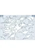Moja kolorowanka. Atlas �wiata. Dinozaury