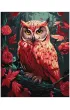 Ideyka Malowanie po numerach - Kolorowa sowa z farbami metalicznymi extra 40x50cm
