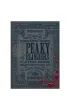 Karty Theory 11 Peaky Blinders Theory11