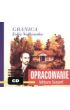 (e) Granica. Opracowanie