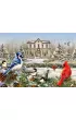 Puzzle 1000 el. Ptasie zebranie Cobble Hill