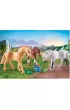 Playmobil Horses of Waterfall 3 konie: Morgan, Quarter Horse i Angloarab Shagya 71356