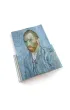 Van Gogh. The bigger picture wer. angielska