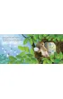 Ksi��eczka 200X190 TW Sp�niony s�owik SKRZAT 077186