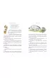 Powr�t do Stumilowego Lasu