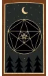 The Green Codex Tarot, karty do wr�enia i ksi��ka, zestaw