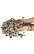 Puzzle 1000 el. Jaki ojciec taki syn Castorland