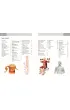 Anatomia ruchu. Podr�cznik �wicze�