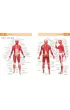 Anatomia ruchu. Podr�cznik �wicze�