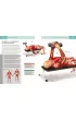 Anatomia ruchu. Podr�cznik �wicze�