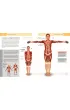 Anatomia ruchu. Podr�cznik �wicze�