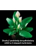 LEGO Botanicals Skrzyd�okwiat 11504