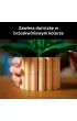 LEGO Botanicals Skrzyd�okwiat 11504