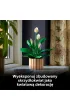 LEGO Botanicals Skrzyd�okwiat 11504