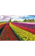 Puzzle 1000 el. Pola tulipan�w w Holandii Eurographics