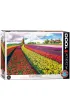 Puzzle 1000 el. Pola tulipan�w w Holandii Eurographics
