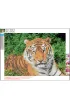 Centrum Mozaika diamentowa 5D - Tiger 89752 30x40cm