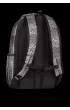 Plecak 2-komorowy Coolpack Flash Dragon