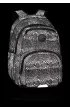 Plecak 2-komorowy Coolpack Flash Dragon