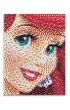 Mozaika Pixel photo. Princes * Quercetti