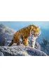 Puzzle 500 el. Tygrys na skale Castorland