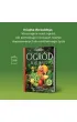 Ogr�d w 10 minut. Jak uprawia� warzywa i owoce, gdy nie masz czasu na ogr�d