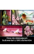 LEGO ART Japo�ski krajobraz z kwitn�c� wi�ni� 31218