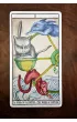 Tarot The Cats by Fournier