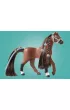 Playmobil Horses of Waterfall Zoe i Blaze z przeszkodami 71355
