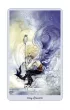 Shadowscapes Tarot, zestaw kart do wr�enia i ksi��ka