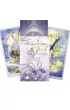 Shadowscapes Tarot, zestaw kart do wr�enia i ksi��ka