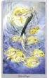 Shadowscapes Tarot, zestaw kart do wr�enia i ksi��ka