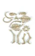 Skamienia�o�ci - Mamut fluo Clementoni