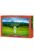 Puzzle 1000 el. Rice Fields in Vietnam Castorland