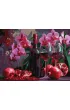 Ideyka Malowanie po numerach - Wino i orchidee 30x40cm