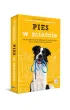 Pies w mie�cie. Jak wypracowa� dobre nawyki, by spokojnie �y� z psem w miejskiej d�ungli