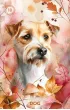 Karty Autumns Embrace Lenormand