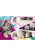 Puzzle 160 el. Urocze kotki Trefl