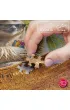 Puzzle 500 el. No Hurry No Worries CherryPazzi