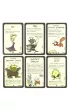 Munchkin 2. Wielosieczny top�r Black Monk